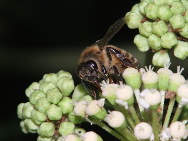 DSCF3801.jpg