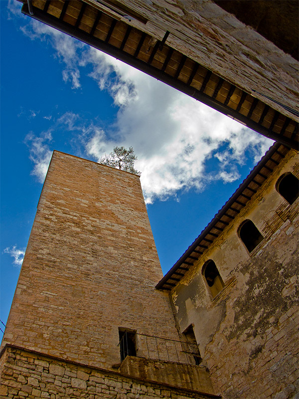 DSCF3852.jpg