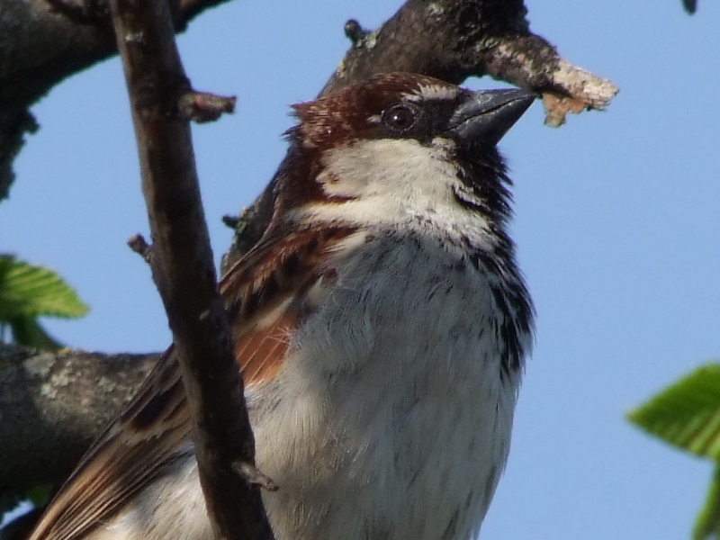 DSCF3858.JPG