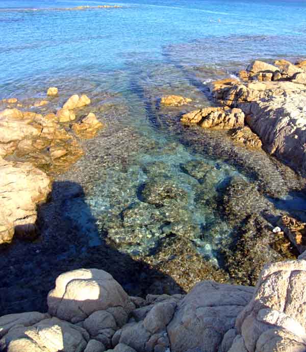 DSCF3907.jpg