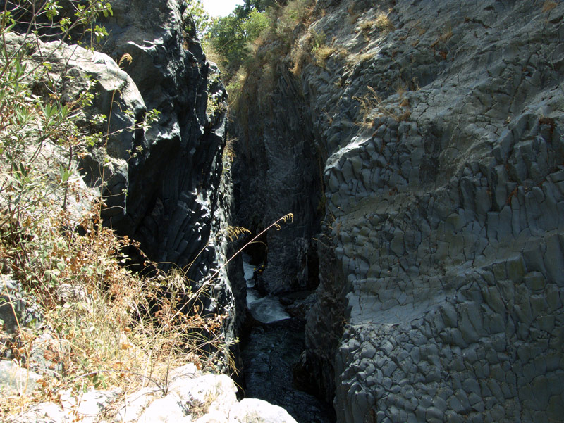 DSCF4055.jpg