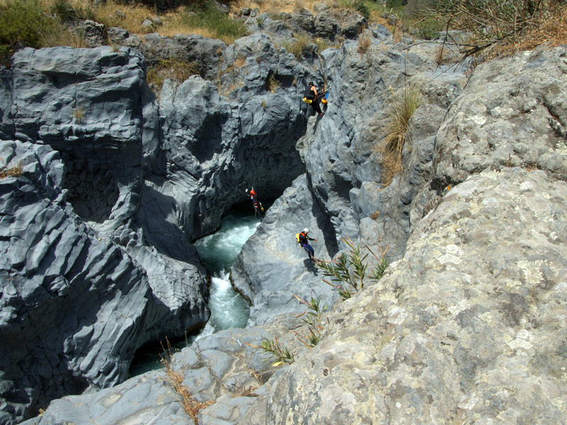 DSCF4070.jpg
