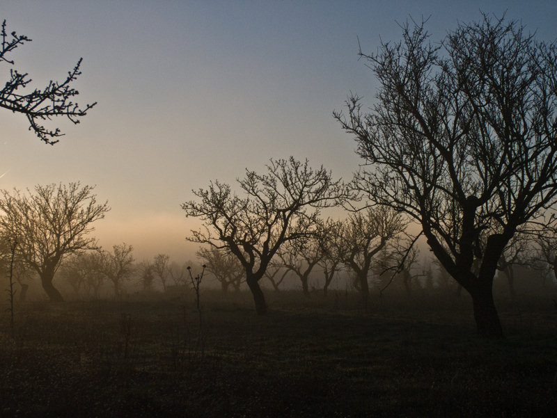DSCF4119-1res.jpg