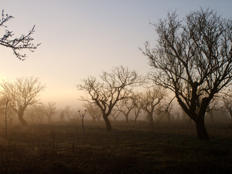 DSCF41192.jpg