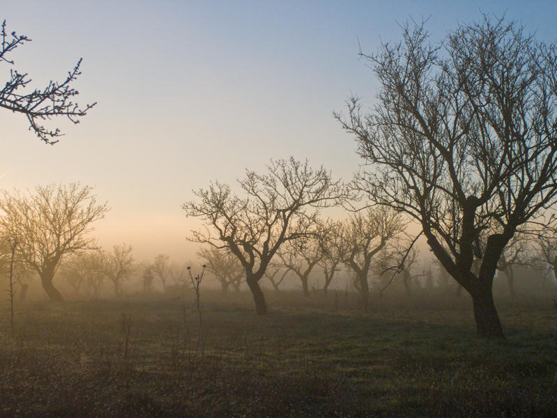 DSCF4119.jpg