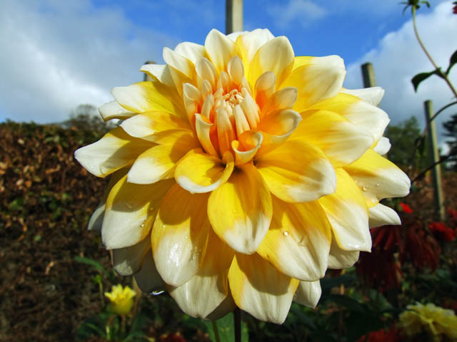 DSCF4280.jpg