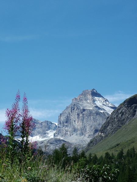 DSCF4288.JPG