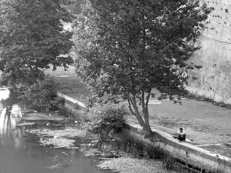 DSCF4295.jpg
