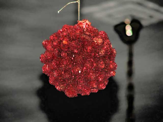 DSCF4479.jpg