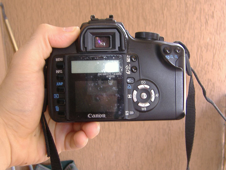 DSCF4565.jpg