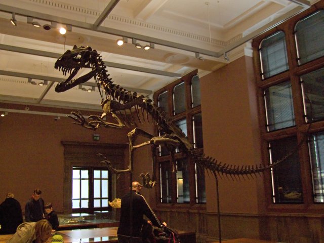 DSCF4701.jpg