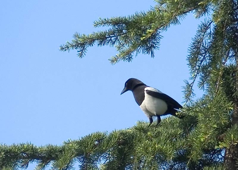DSCF4773.jpg