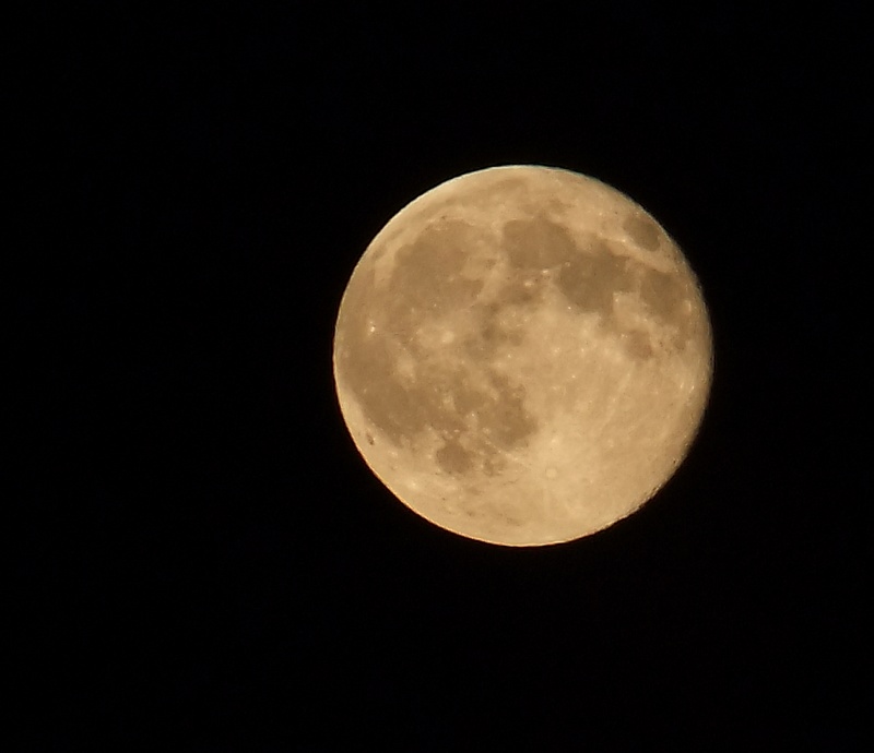 DSCF4776-8.jpg