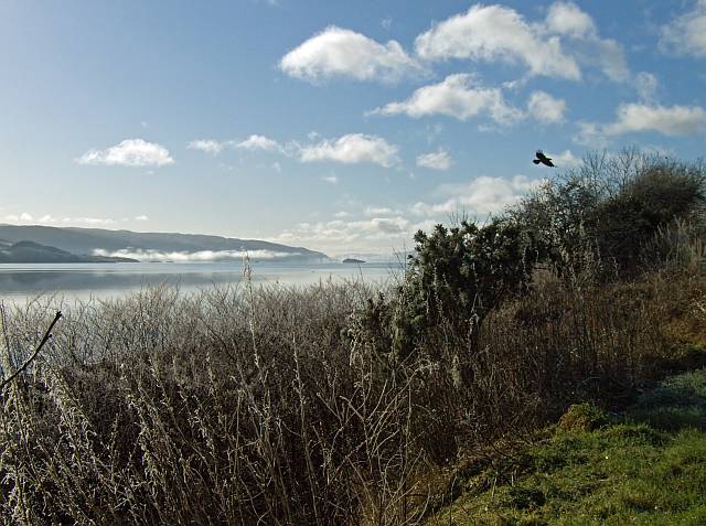 DSCF4815.jpg