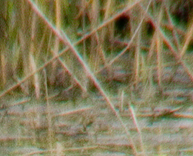 DSCF48331.jpg