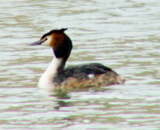 DSCF48332.jpg