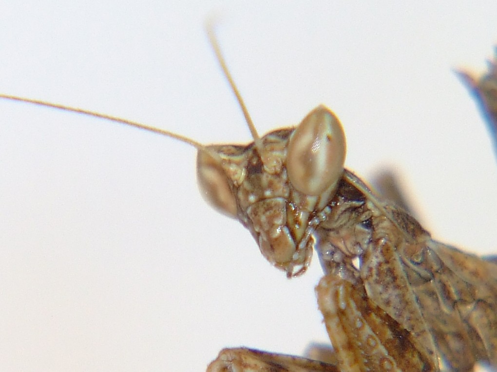 DSCF5069.JPG