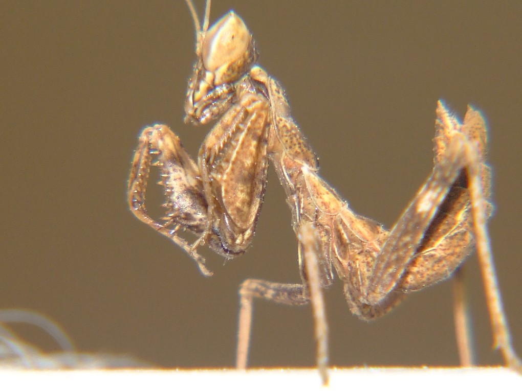 DSCF5076.JPG