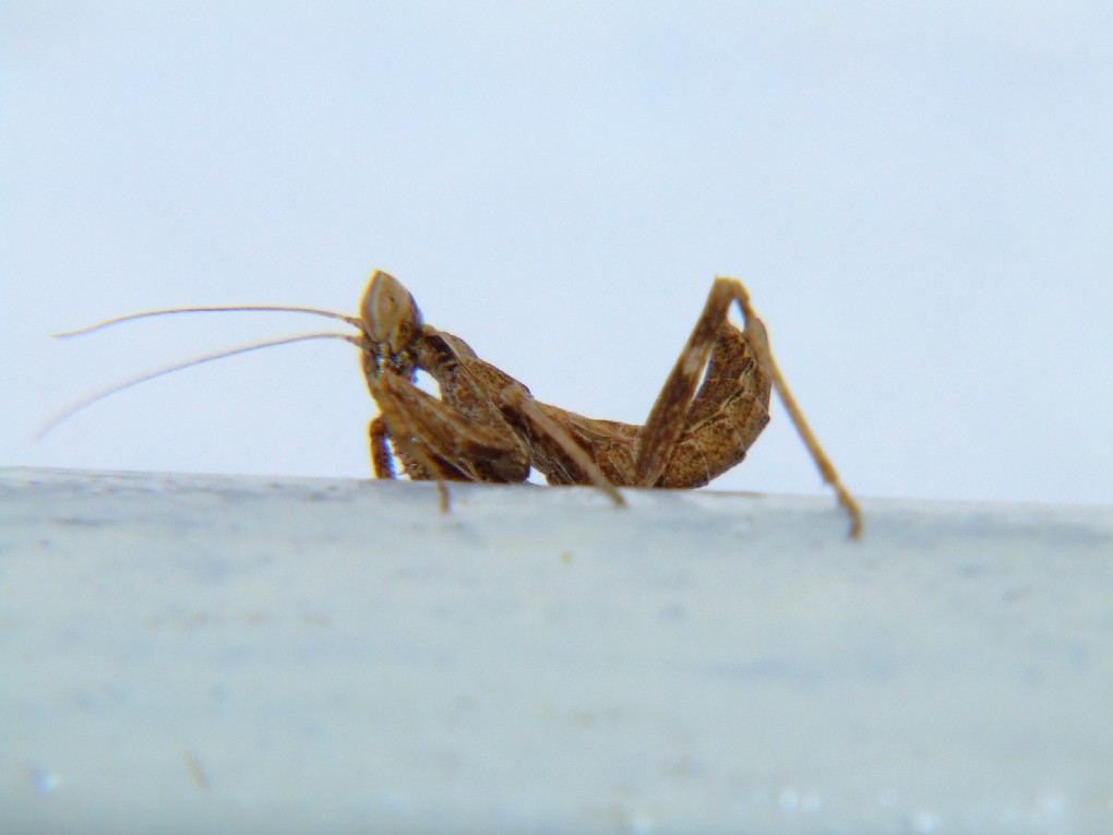 DSCF5091.JPG