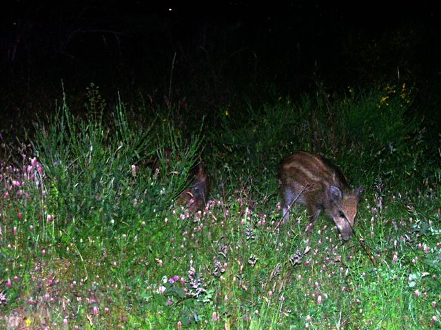 DSCF5123 [640x480].JPG