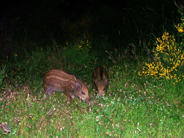 DSCF5124 [640x480].JPG