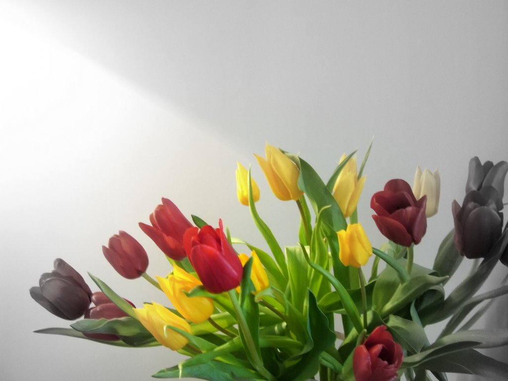 DSCF5216.JPG