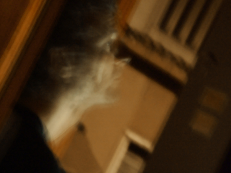 DSCF5244227.jpg