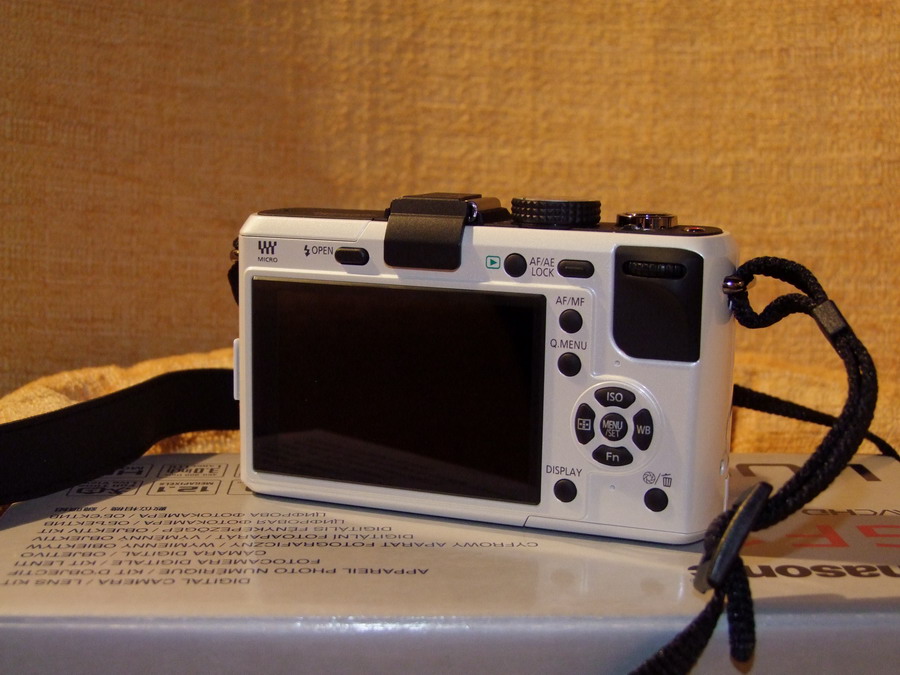 DSCF5255_ridimensionare.JPG