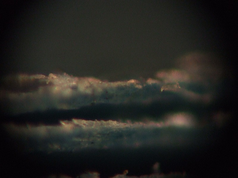 DSCF5255r.jpg