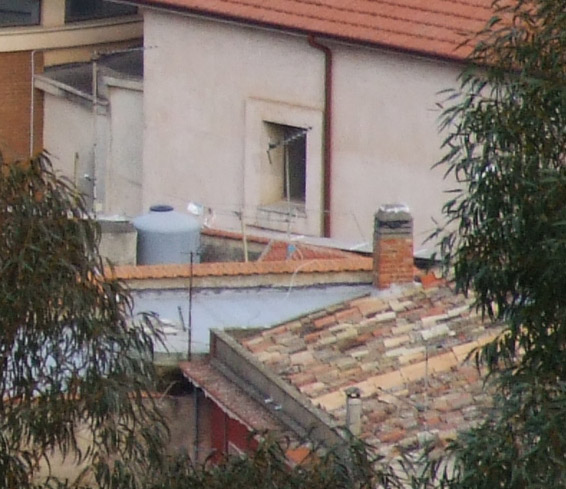 DSCF5275-crop4.jpg