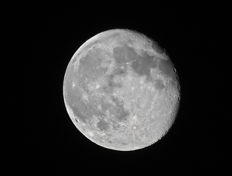 DSCF5348.jpg