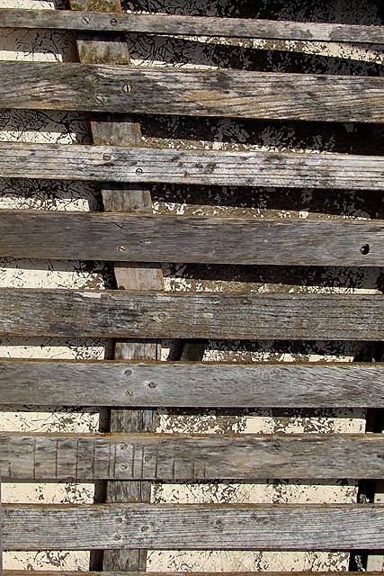 DSCF5498.JPG