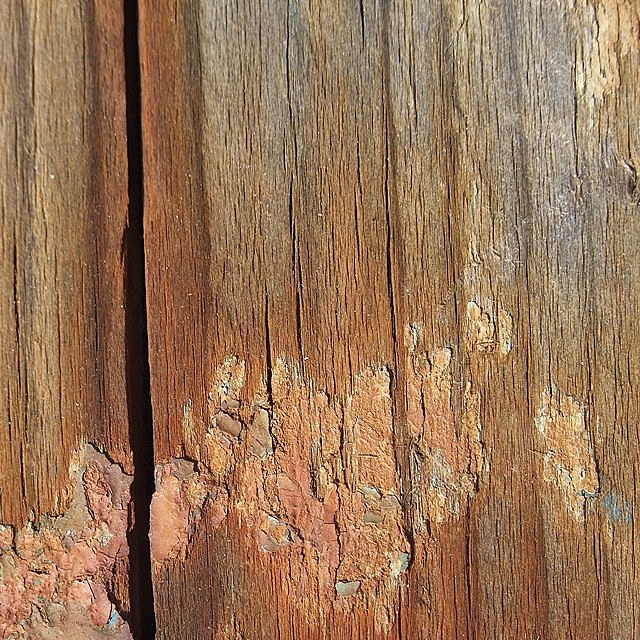 DSCF5509.JPG