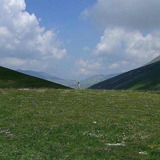 DSCF56733.JPG