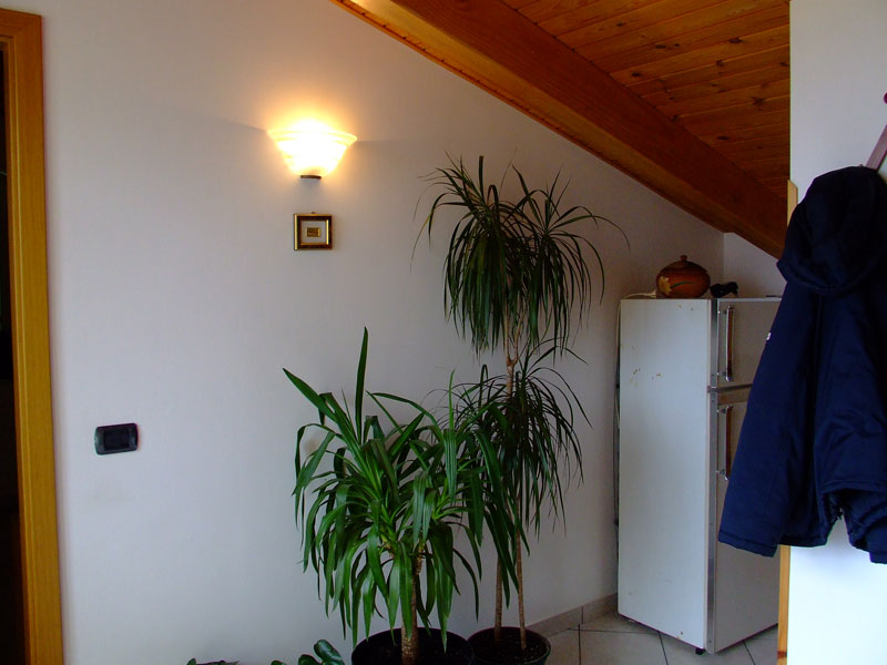 DSCF5781.jpg