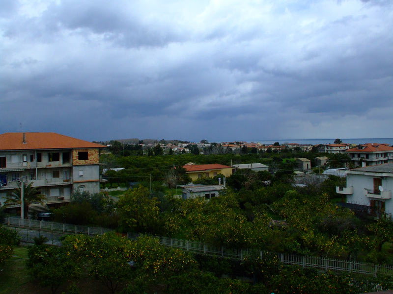 DSCF5782.jpg