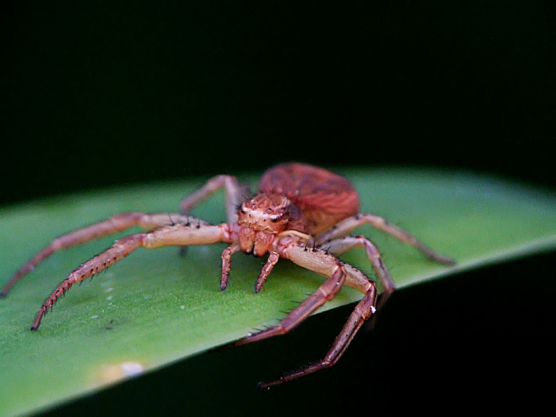 DSCF6209.jpg