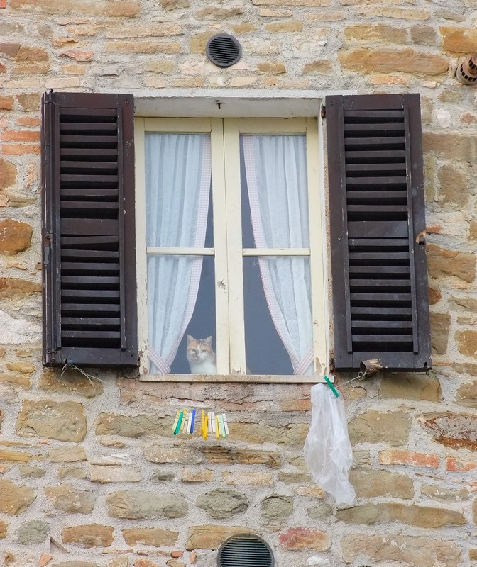 DSCF6348.jpg