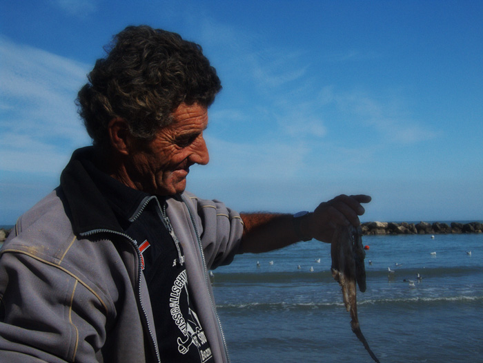 DSCF6470.jpg
