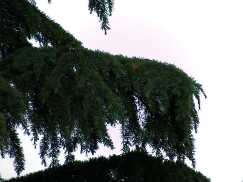 DSCF6535.jpg