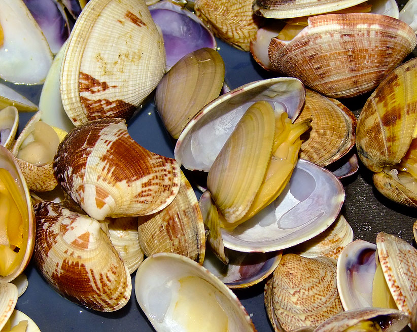 DSCF6584.jpg