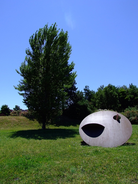 DSCF6619.JPG