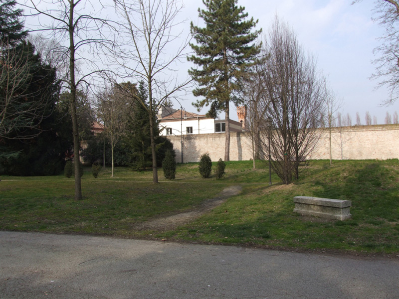DSCF7119_tutta.jpg