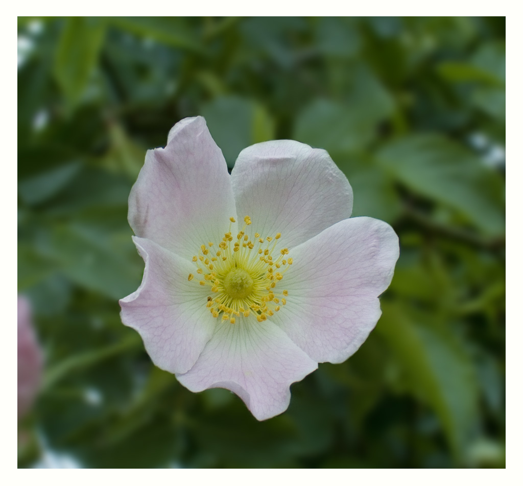 DSCF7241.jpg