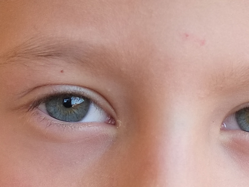 DSCF7279_crop.jpg