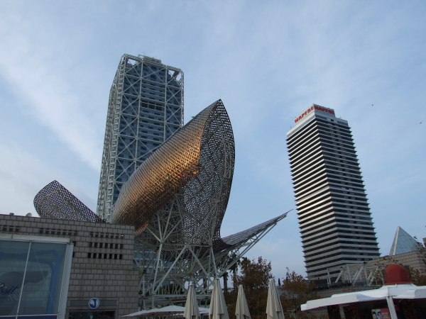 DSCF7295.JPG