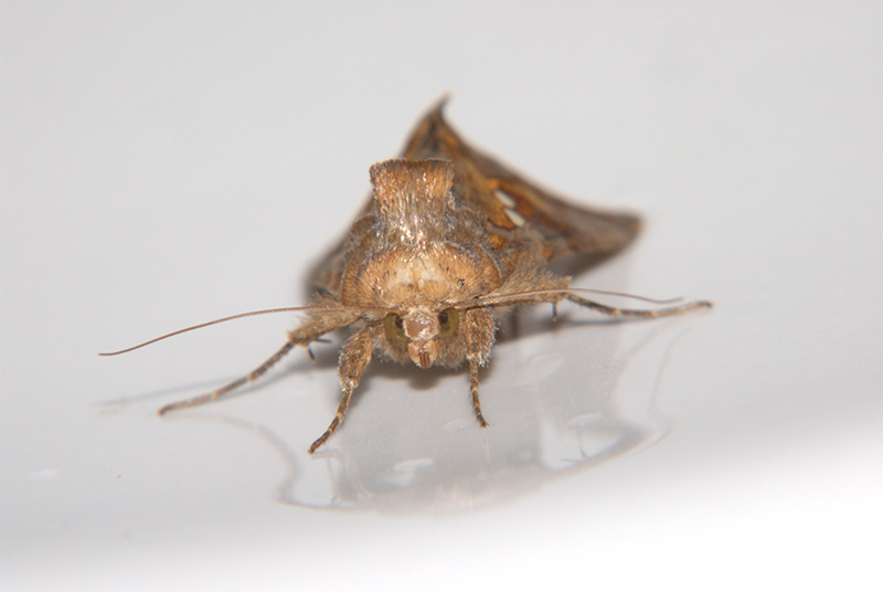 DSCF7512.jpg