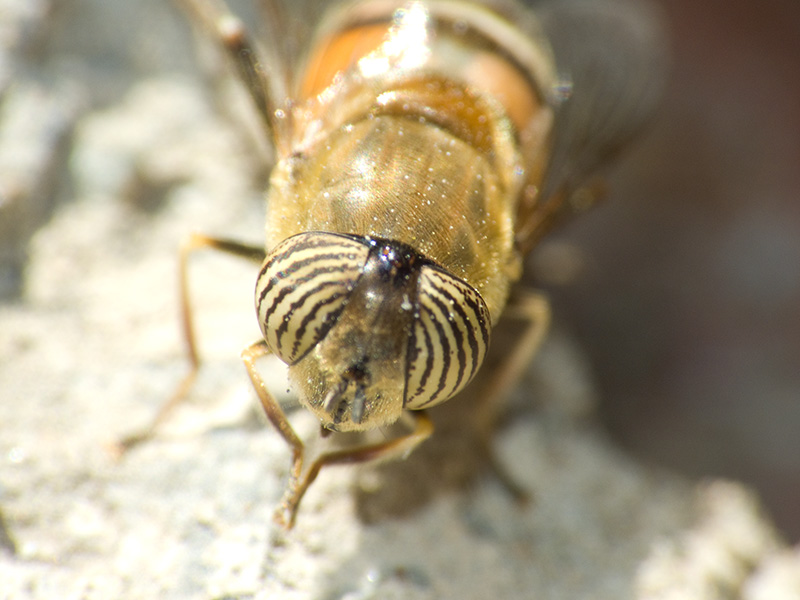 DSCF7626.jpg