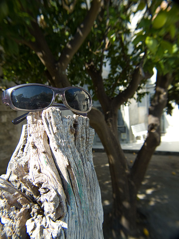 DSCF7630.jpg
