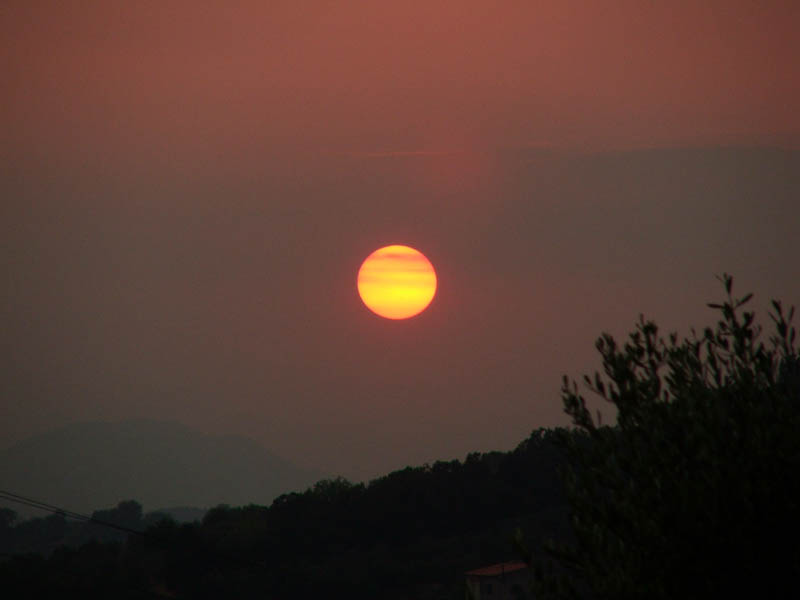 DSCF7686.jpg